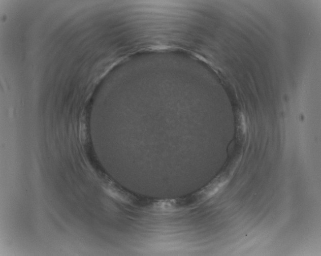 X0000071850080200606301348