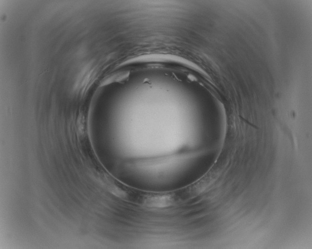 X0000071850081200606301348