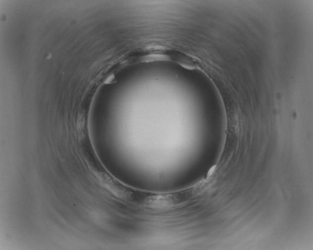 X0000071850082200606301348