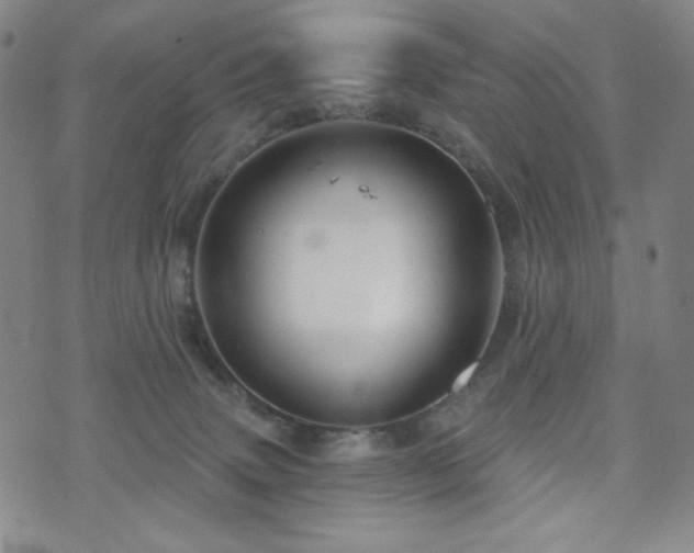 X0000071850083200606301348