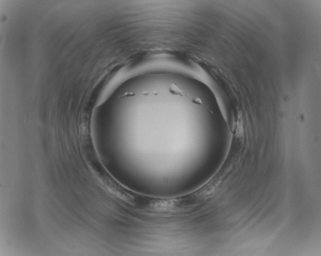 X0000071850084200606301348