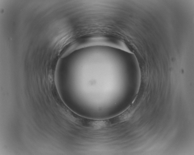 X0000071850085200606301348