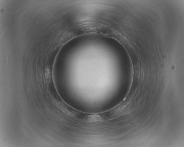 X0000071850087200606301348