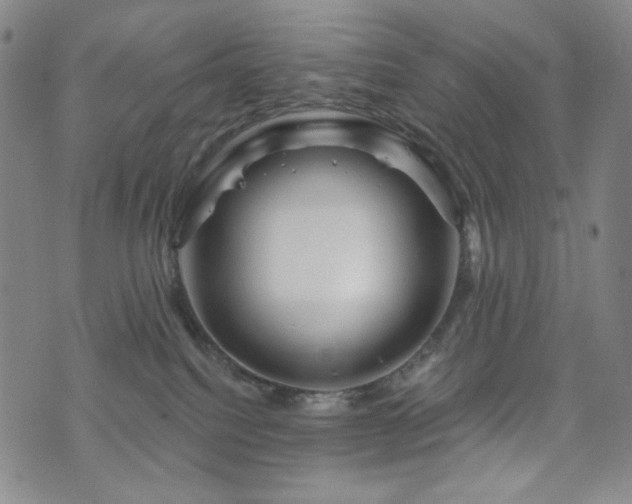 X0000071850088200606301348