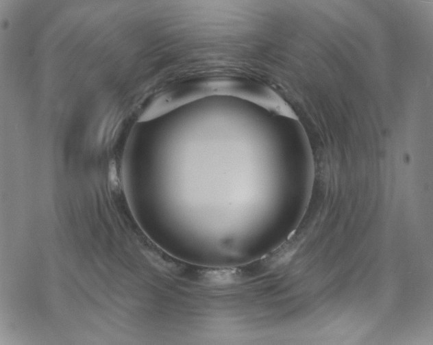 X0000071850089200606301348