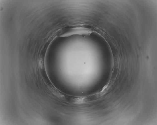 X0000071850090200606301348