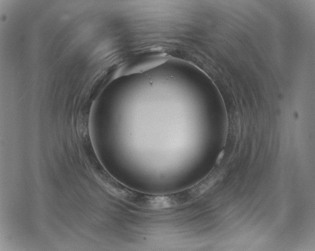 X0000071850091200606301348