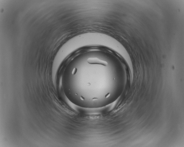 X0000071850092200606301348