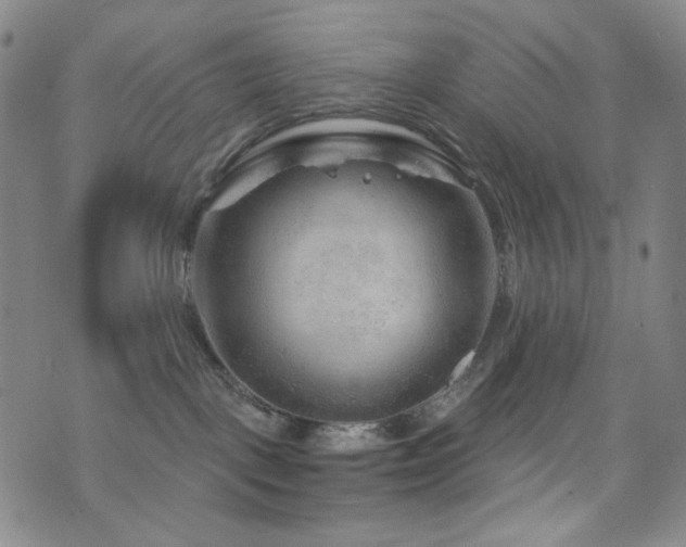 X0000071850093200606301348