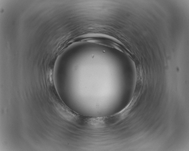 X0000071850094200606301348