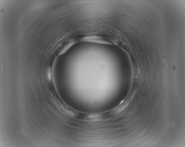 X0000071850095200606301348