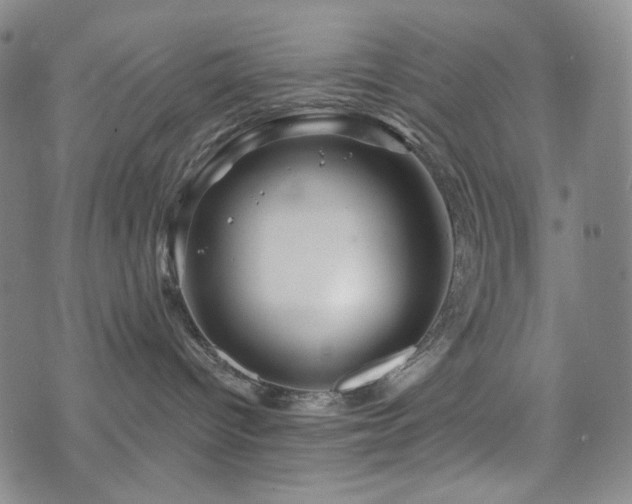 X0000071850096200606301348