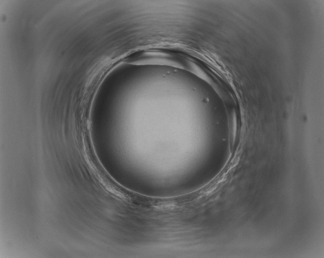 X0000071850097200606301347