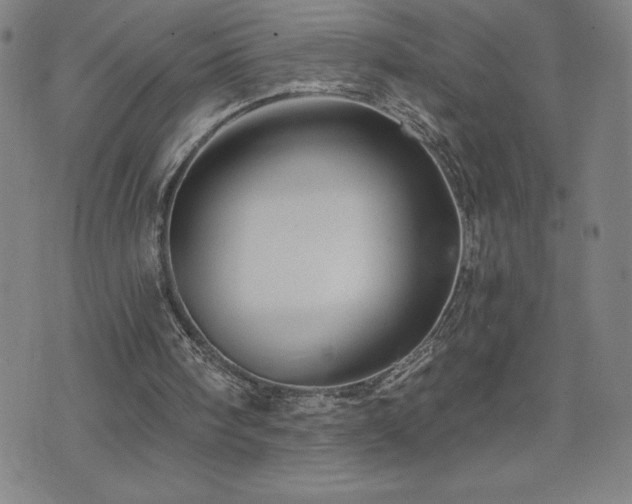 X0000071850098200606301347