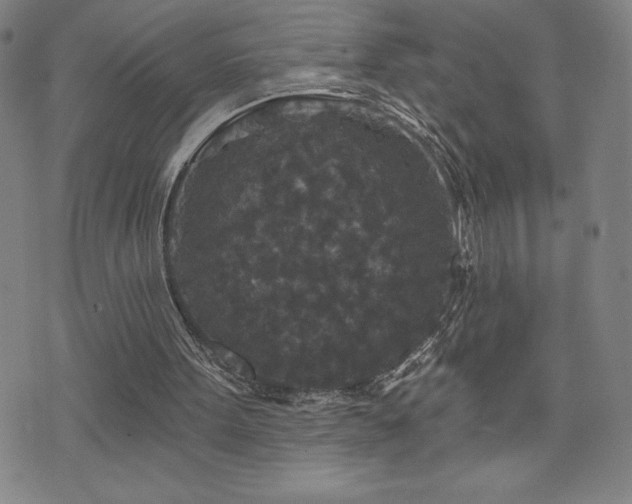 X0000071850099200606301347