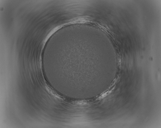 X0000071850100200606301347