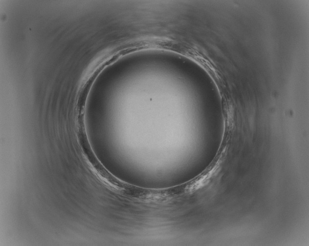 X0000071850101200606301347