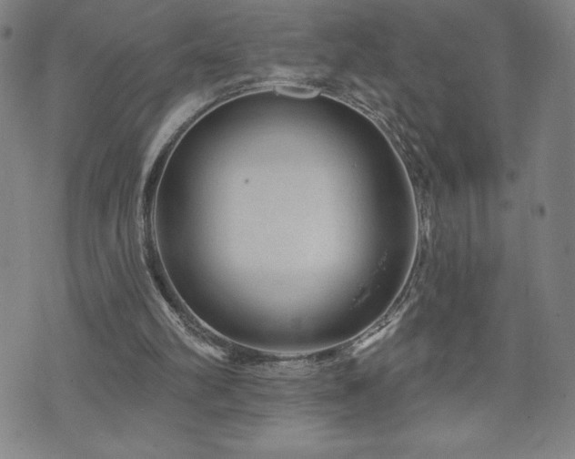 X0000071850102200606301347