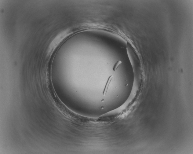 X0000071850103200606301347