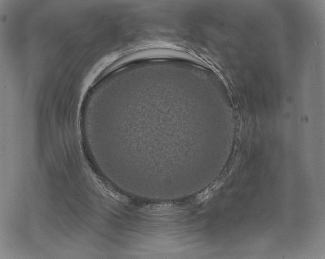 X0000071850104200606301347