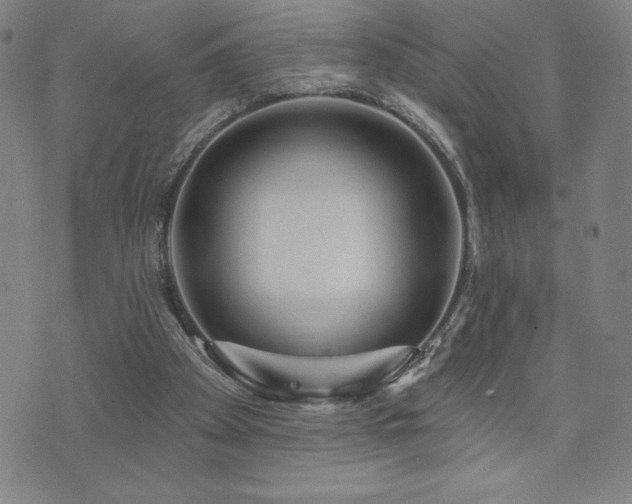 X0000071850105200606301347