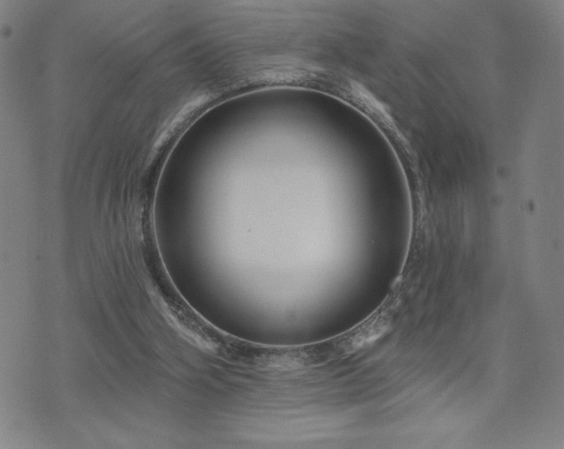 X0000071850106200606301347