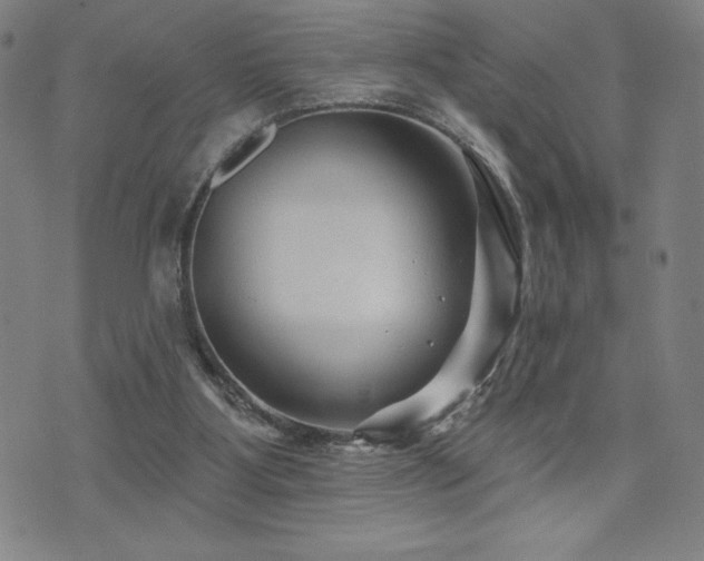 X0000071850107200606301347