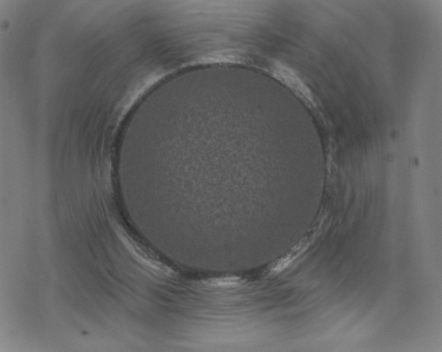 X0000071850108200606301347