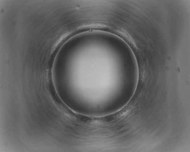 X0000071850111200606301347