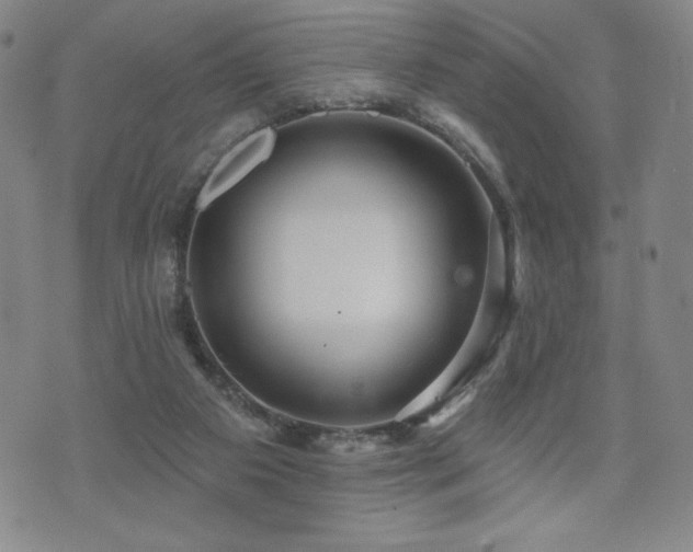 X0000071850113200606301347