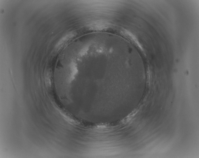 X0000071850114200606301347