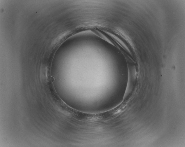 X0000071850115200606301347