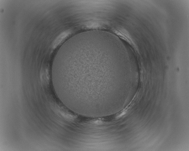 X0000071850116200606301347