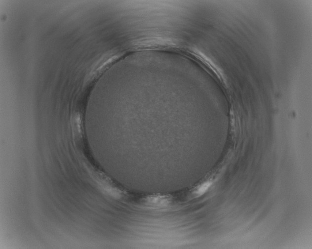 X0000071850117200606301347