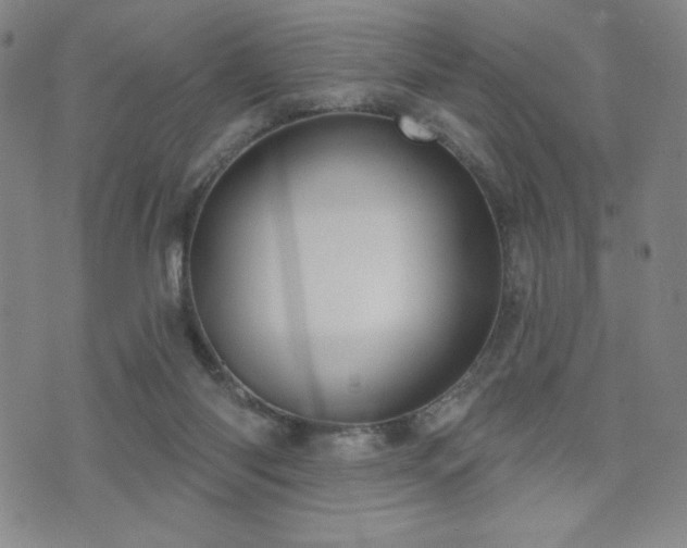 X0000071850118200606301347