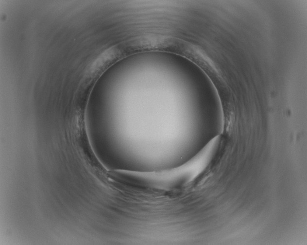 X0000071850119200606301347