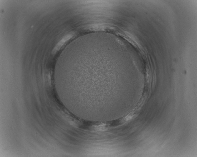 X0000071850120200606301347