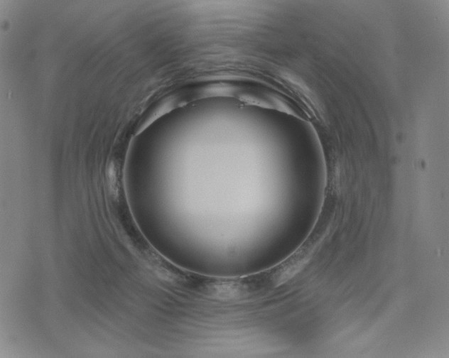 X0000071850121200606301347