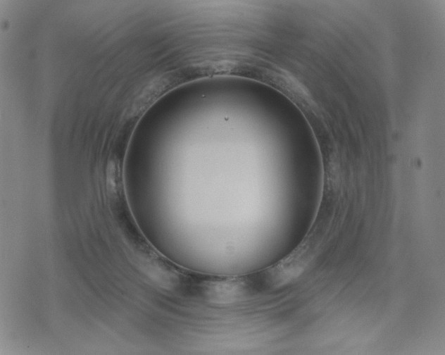 X0000071850122200606301347