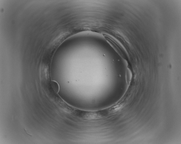 X0000071850123200606301347