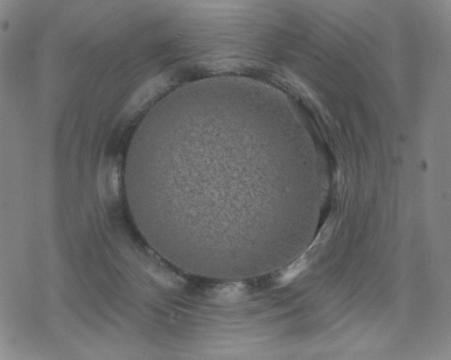 X0000071850124200606301347