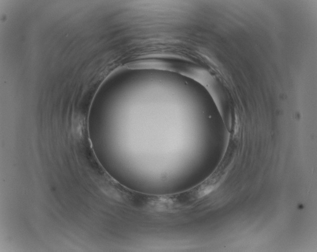 X0000071850125200606301347