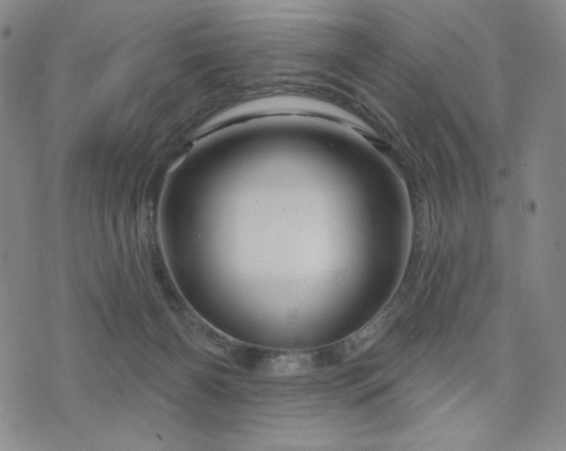 X0000071850126200606301347