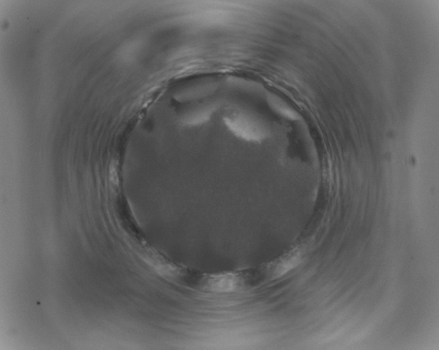 X0000071850127200606301347