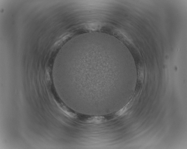 X0000071850128200606301347