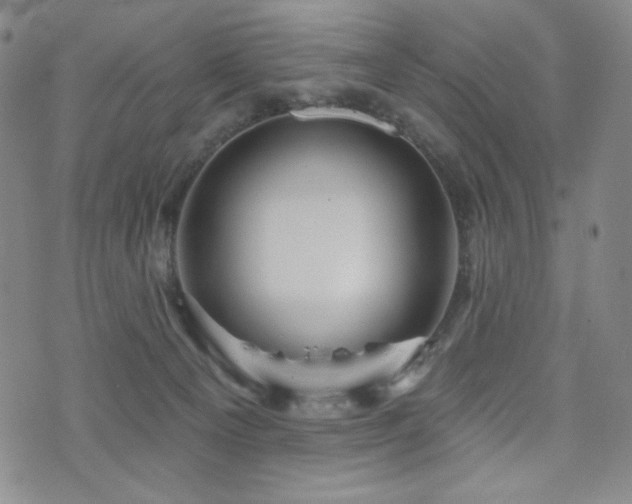 X0000071850129200606301347