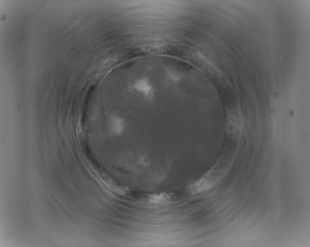 X0000071850130200606301347