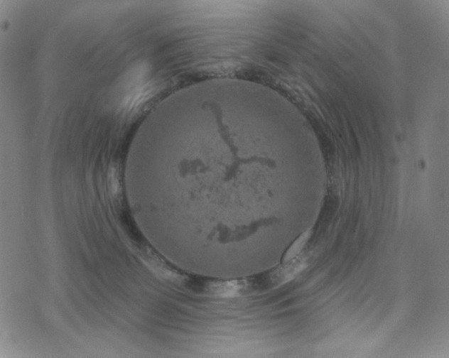 X0000071850131200606301347