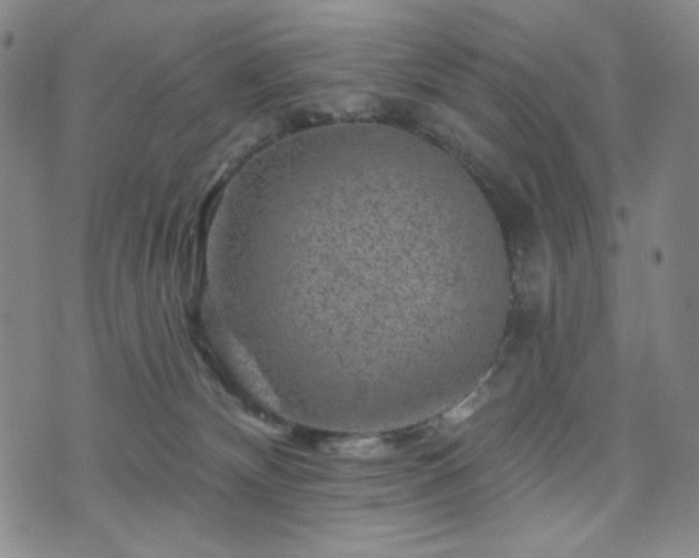 X0000071850132200606301347