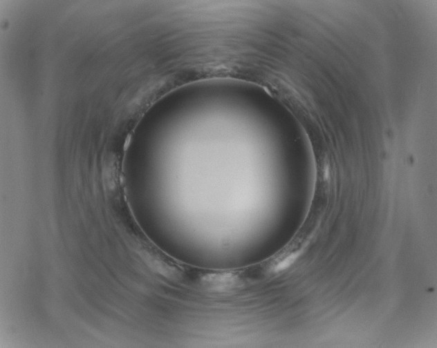 X0000071850133200606301347